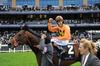 Richard Hughes celebrates the win of Cranford Cliffs at Royal Ascot 15-06-10