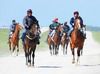Dermot Weld's string return to stables after working on the Curragh 02-05-11