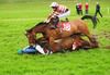 Lady Boulea and Eoin McDonagh fall bringing down Strange Bid and James Flynn at Ballindenisk PTP 08-05-11