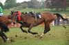 John Daniel Moore clings on to Buster at Toomebridge PTP 07-05-11
