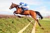 Askanna jumps the last under Andrew McNamara on her way to victory at Fairyhouse on Tuesday the first part of a double for trainer Colin Bowe. 10-04-2012