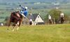 The Jersey Queen unships Richie Harding on the way to the start for her debut in division one of the 5yo mares maiden. The pair eventually contested the race and pulled up. Dromahane 15-04-2012