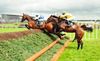 Glibin jumps the last just ahead of Great Oak before going on to score under Andrew McNamara for trainer Colin Bowe. Galway 01-08-12