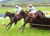 Mr Goodenough (farside) & Kylebeg Krystle land over the last with the former going on to score under Andrew Lynch for trainer John Robinson. Punchestown 31-10-12