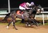 Empress Of Tara (nearest) under Declan McDonogh gets up close home to deny Miss Forde in the last at Dundalk on Friday. 02-11-12