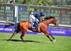 George Vancouver takes the Breeders Cup Juvenile Turf under Ryan Moore for Aidan O'Brien at Santa Anita on Saturday. 03-11-12