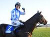 A beaming Patrick Mullins after he broke Billy Parkinson's 97 year old amateur riders record aboard Zuzka at Leopardstown on Saturday. 29-12-12