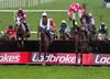 Pic of the week. Ruby Walsh is spectacularly unseated from Bishopsfurze at the eighth fence in the Thyestes. Thankfully both horse & rider were ok after the incident. Gowran 24-01-13