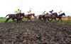 Runners head down for the first in the eighth race at Nenagh yesterday. Major Mongo, in second, won the race for trainer Stephen Ryan with Trevor Ryan in the saddle. 27-01-13