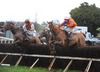 Soweheard under Jamie Codd (noseband) jumps the last on his way to victory for trainer Gordon Elliott. 27-01-13