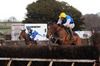 On Winsome Wings jumps the last on her way to victory for trainer Brian Hassett with Jamie Codd in the saddle. Nenagh 28-01-13