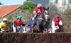 Capilla under Colman Sweeney jumps a fence on his way to victory in the 5yo geldings maiden at Knockanard for trainer Daniel O'Connell. 10-02-13