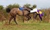Jonathan Burke is unseated at the last when clear aboard Major Finnegan in the Open at Knockanard point-to-point. Thankfully both horse and rider were ok after the mishap. 10-02-13