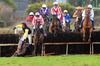The Jim Culloty trained Bensons Point & Jamie Codd crashed out at the ninth with eventual winner The Tourard Man (red with white cap) just behind him. 10-02-13
