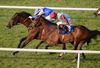 The Andy Oliver trained Abou Ben under Chris Hayes, gets the better of Clara Bel La and Pat Smullen in the last at Limerick on Saturday. 15-06-13