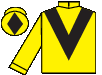 silks