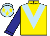 silks