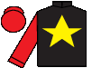 silks