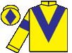 silks