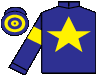 silks