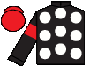silks