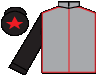 silks