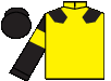 silks