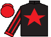 silks