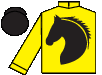 silks