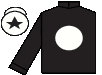 silks