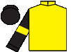 silks