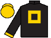 silks