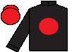 silks