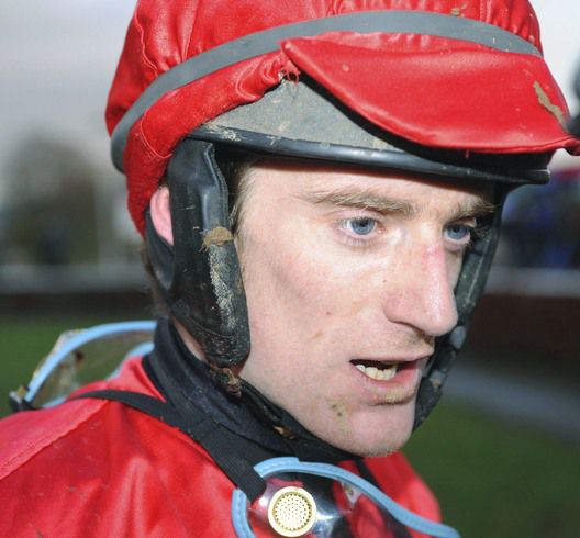 Donal MacAuley won a point-to-point and a bumper on Copper Bleu