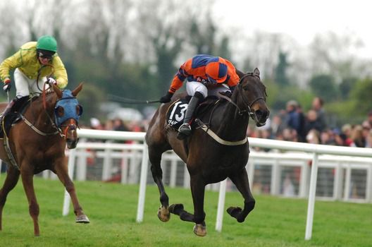 Church Island (nearside) was 2nd in the Irish National having won a veterans chase