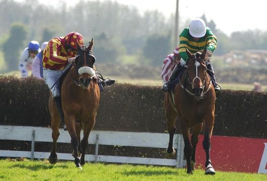 Dramatic recoveries are nothing new to Ruby Walsh