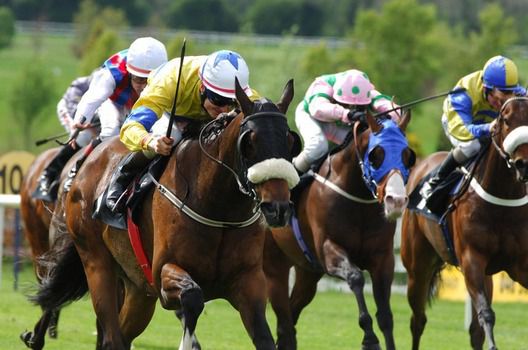 Jumbajukiba in action on the level at Navan
