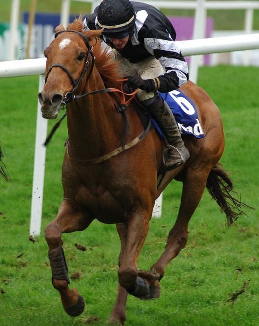 The Midnight Club  one of Mullins trio