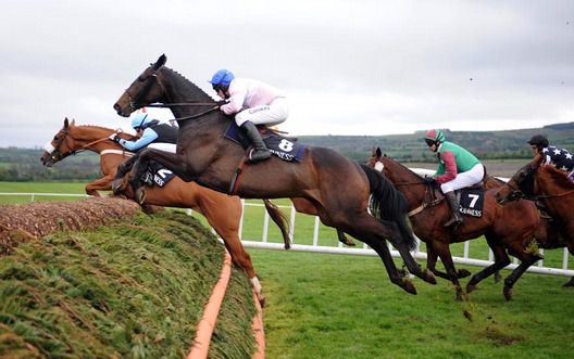 NOTRE PERE in action at the Punchestown Festival