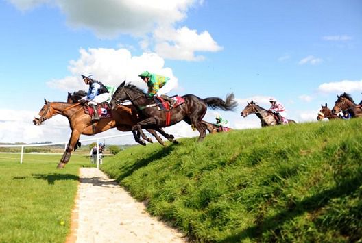 Punchestown passes inspection