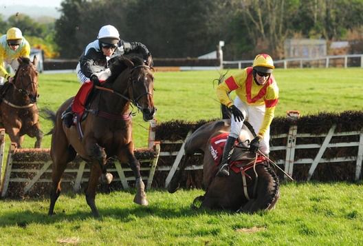 Copper Bleu wins at Punchestown last year   as Zaarito falls