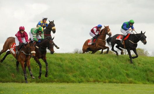 Inspection at Punchestown