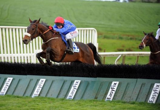 ROYAL DEBS and Robbie Dunne  trainer Suzanne Cox 