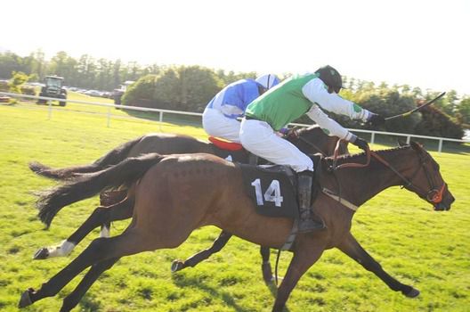 KILLARNEY 12 5 09 FROSTY NIGHT and Tom Doyle near wins from DREAM CHAMPION R Colgan for trainer Michael Hourigan Jnr 