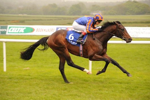 The Aidan O'Brien-trained Steinbeck