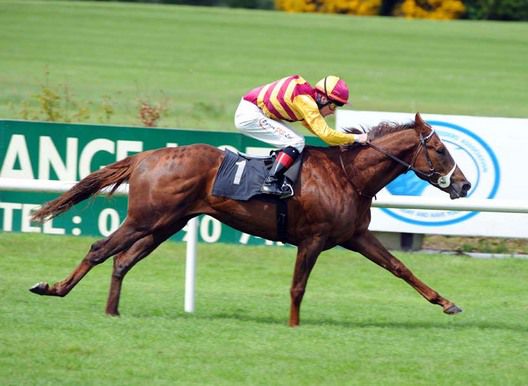Croisultan and Pat Smullen