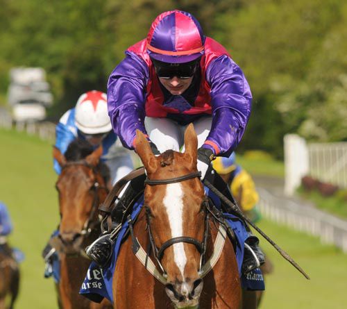 Carolobrian with Davy Moran 