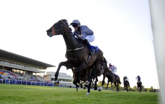 Hindu Kush pictured winning the Saval Beg Stakes at Leopardstown in 2009   in the colours of Dr Koukash.