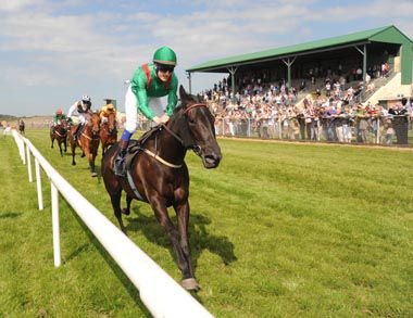 SHERIDANIYA  Fran Berry  Win At Tramore 