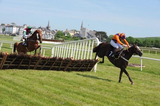 Ballyadam Lee and Kevin Coleman